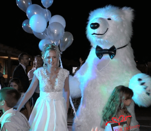 The White Polar Bear came to the wedding to deliver the gift to the bride and groom. Gift Delivery. Wedding gift. Polar bear surprise. White Polar Bear at the wedding.